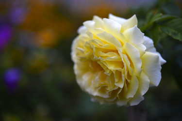 Similar image 22281711