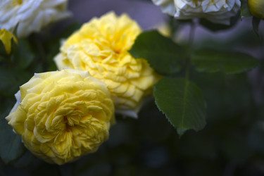 Similar image 22281713