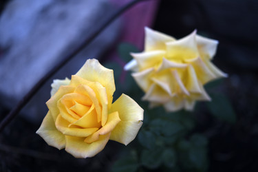 Similar image 22281714