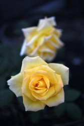 Similar image 22281715