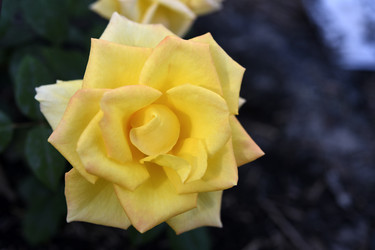 Similar image 22281717