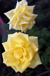 Similar image 22281718