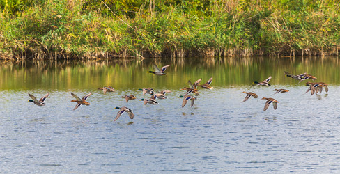 Similar image 22283316