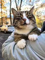 Similar image 22283297