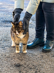 Similar image 22283298