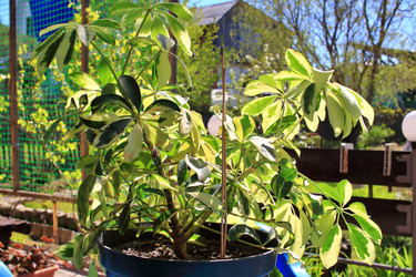 Similar image 22282702