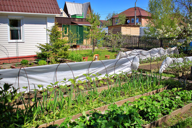 Similar image 22282703