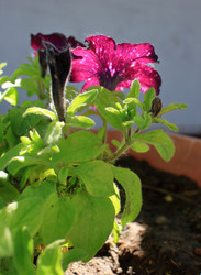 Similar image 22282704