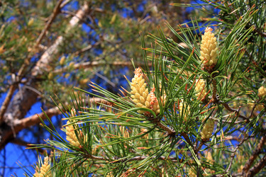 Similar image 22282705