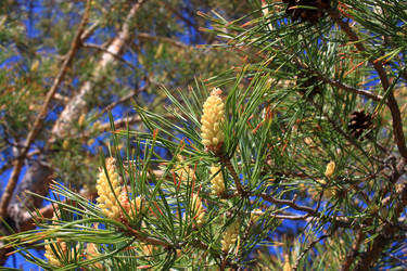 Similar image 22282706