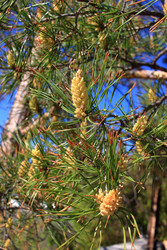 Similar image 22282707