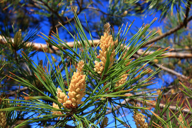 Similar image 22282708