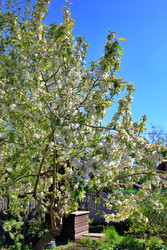 Similar image 22282709