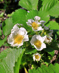 Similar image 22281989