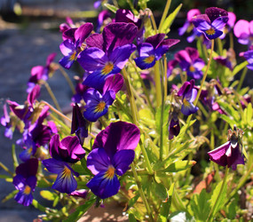 Similar image 22281990