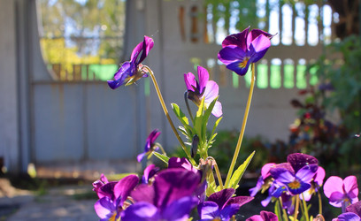 Similar image 22281991