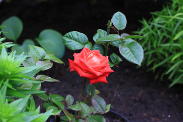 Similar image 22281992