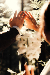 Similar image 22285061