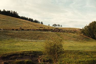 Similar image 22285065