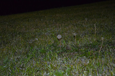 Similar image 22281993