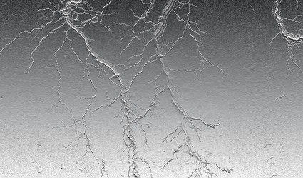 Similar image 22281620