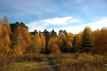 Similar image 22282170