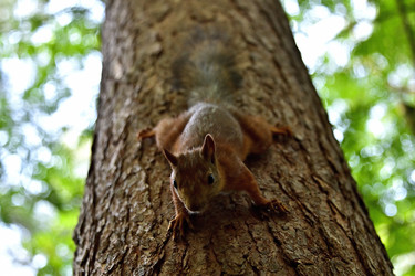 Similar image 22282173