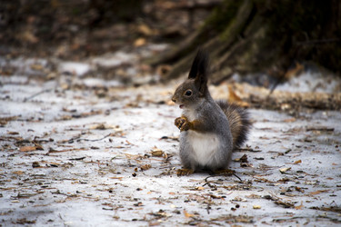 Similar image 22282178