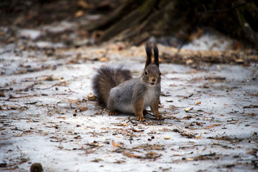 Similar image 22282180