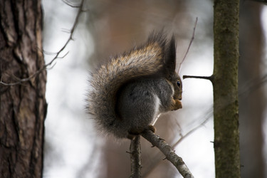 Similar image 22282186