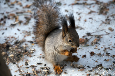 Similar image 22282194