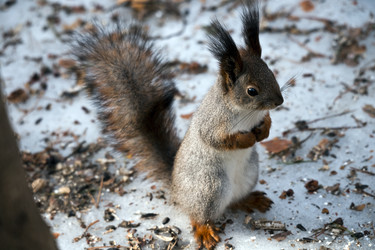 Similar image 22282195