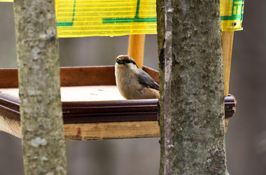 Similar image 22282202