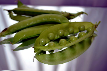 Similar image 22281721