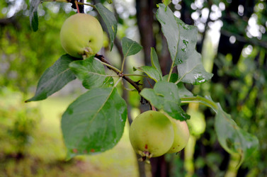 Similar image 22281722