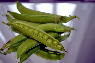 Similar image 22281723