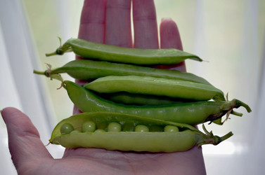 Similar image 22281724