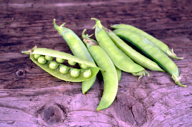 Similar image 22281725