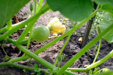 Similar image 22281727