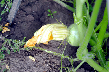 Similar image 22281728