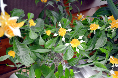 Similar image 22281731