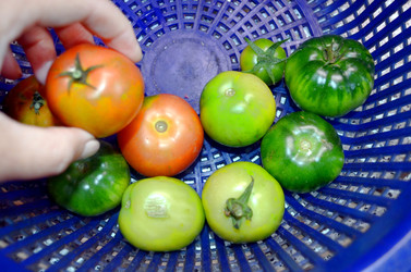 Similar image 22281732