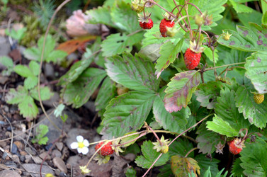 Similar image 22281737