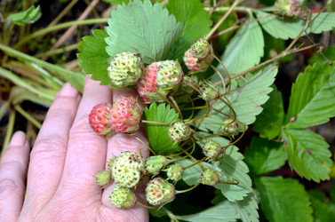 Similar image 22281739