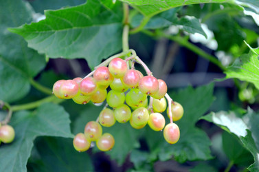 Similar image 22281742