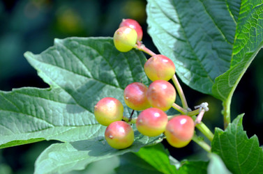 Similar image 22281743