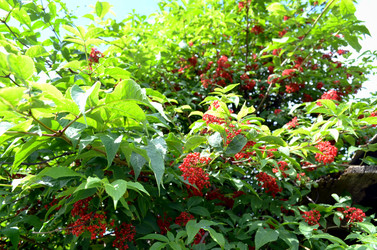 Similar image 22281744