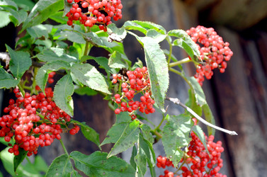 Similar image 22281745