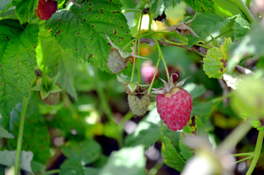 Similar image 22281746