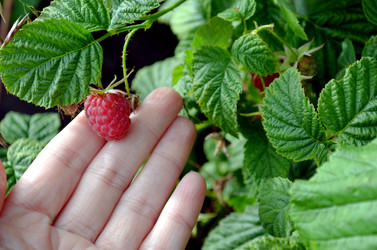 Similar image 22281747